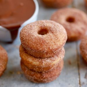 Baked Churro Donuts
