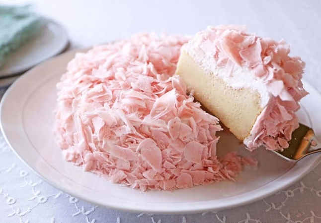Cherry Blossom Cheesecake