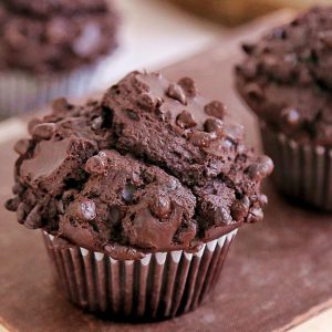 Moist Double Chocolate Chip Muffins