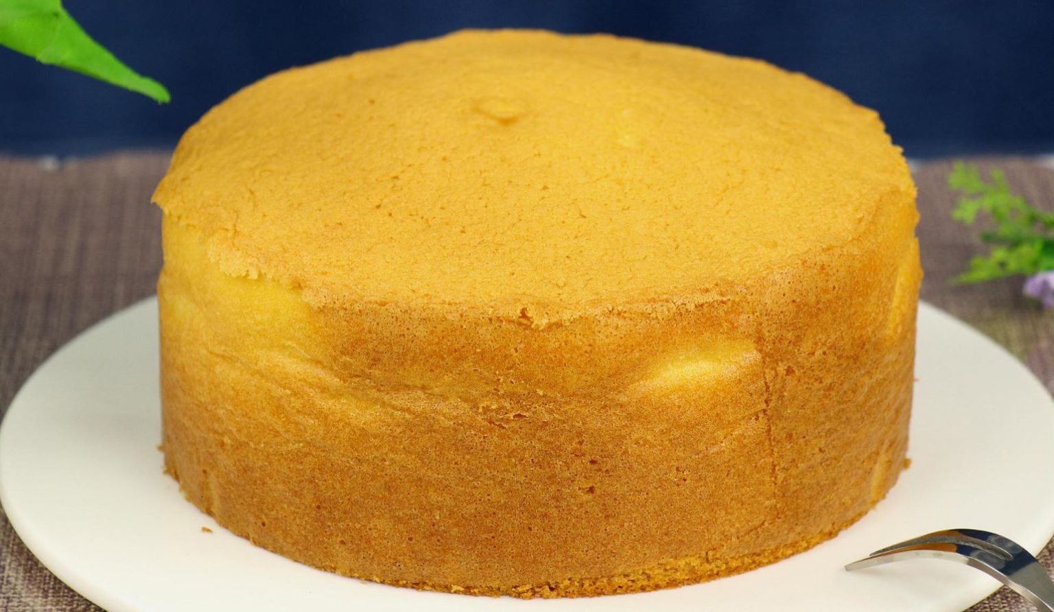 Moist Vanilla Cake Kitchen Cookbook