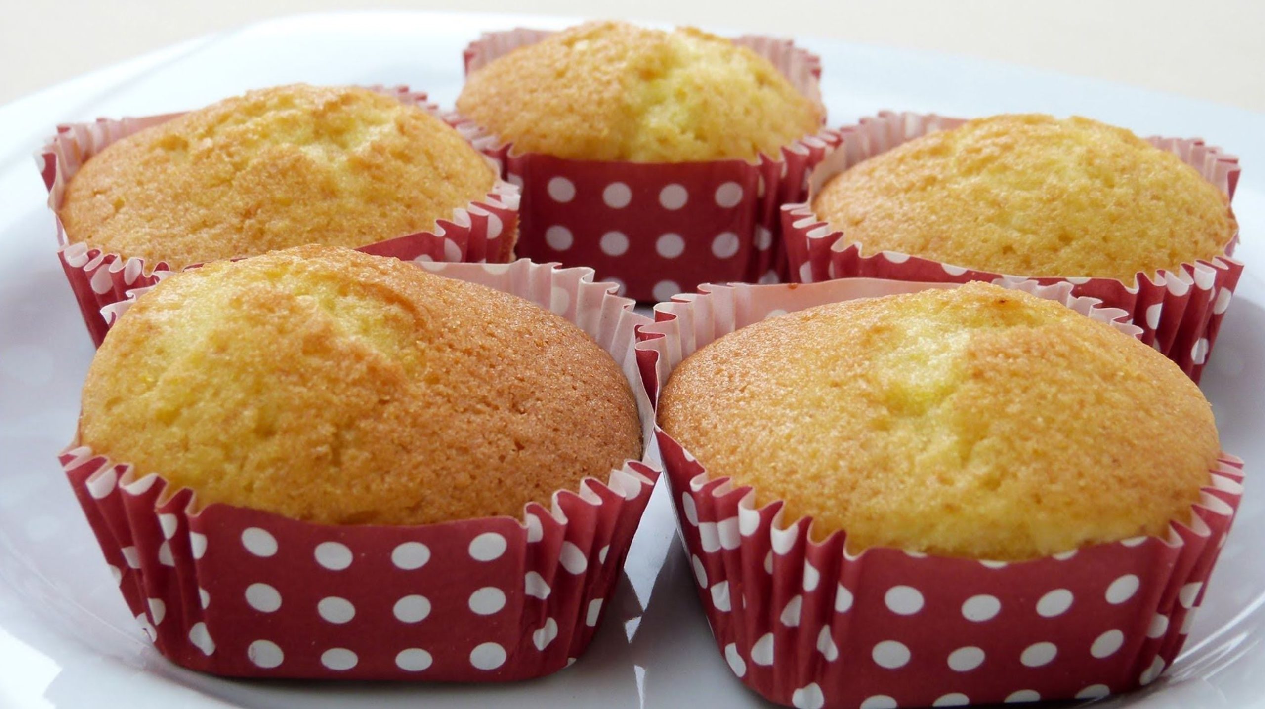 Butter Castella Cakes