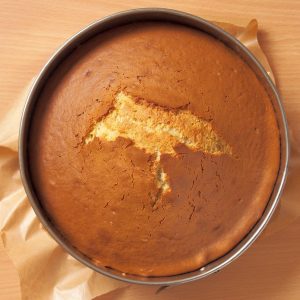 Perfect Round Vanilla Cake Recipe