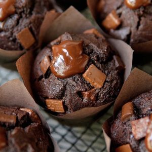 Double Chocolate Muffin Recipe